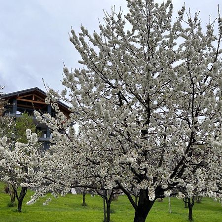Affittacamere Verger Plein Soleil Saint-Pierre Exterior foto